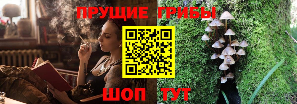 Сланцы  Галлюциногенные грибы ЛСД  Вход с VPN  Галлюциногенные грибы Cubensis 