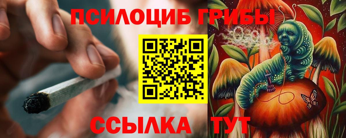 Псилоцибиновые грибы Psilocybine cubensis Сланцы